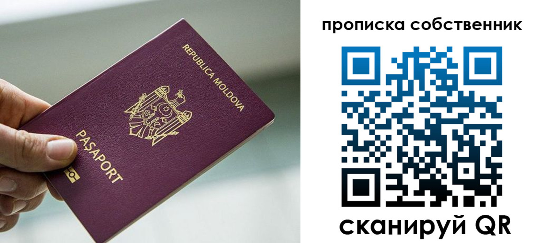 прописка паспорт в Обояни